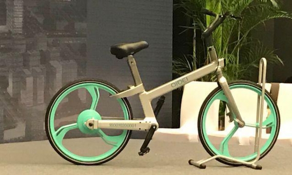 郑钦文：伤病现在已经不影响我了